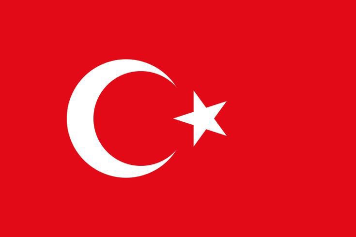 sarisin bomba tweet media