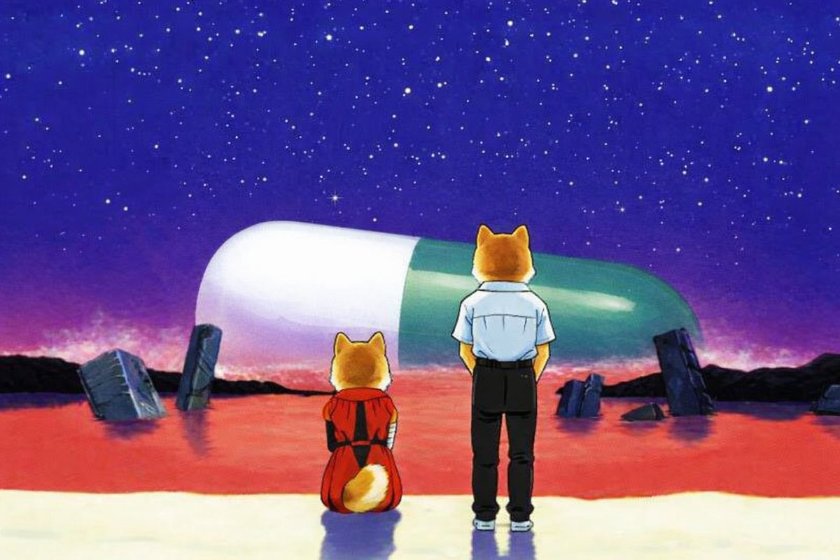 Hachiko tweet media