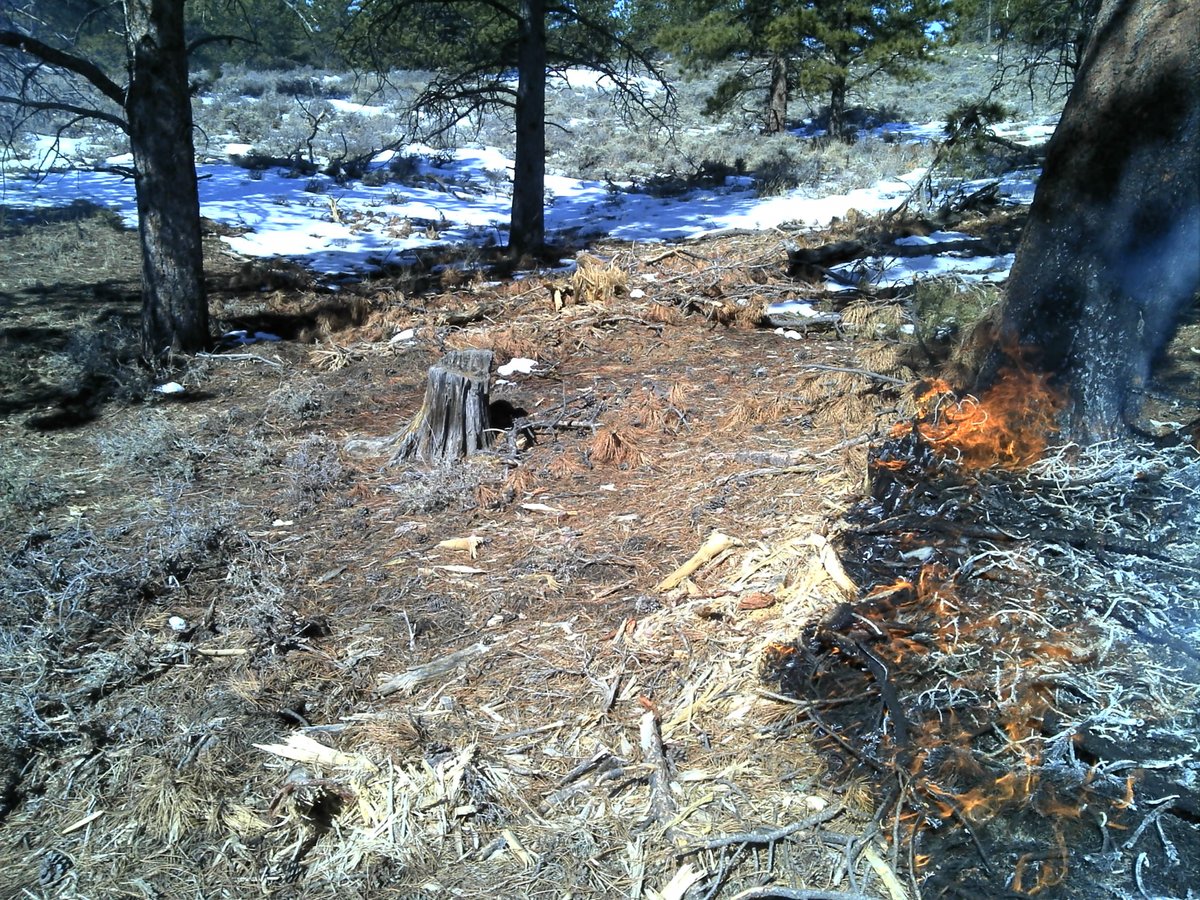 Medicine Bow-Routt NFs & Thunder Basin NG tweet media