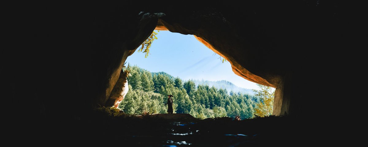 Mohammed tweet media