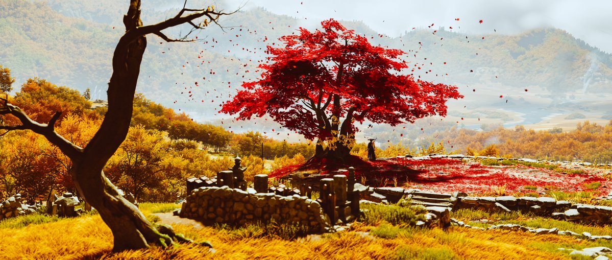 Mohammed tweet media