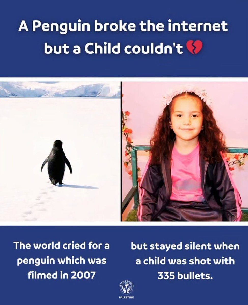 Sad Reality of today's world 💔