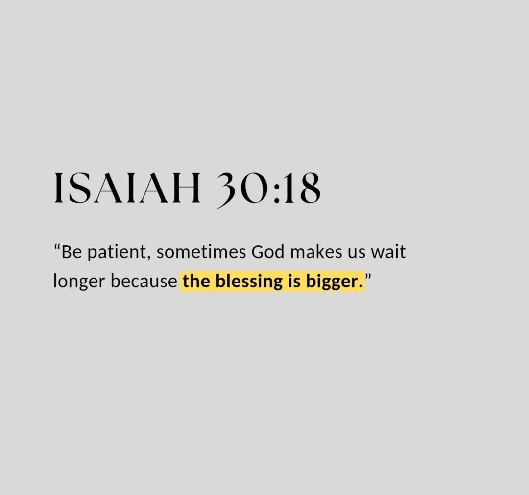 Holy Bible tweet media