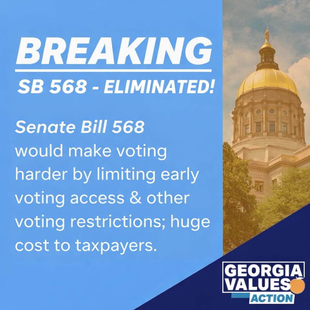Georgia Values Action tweet media