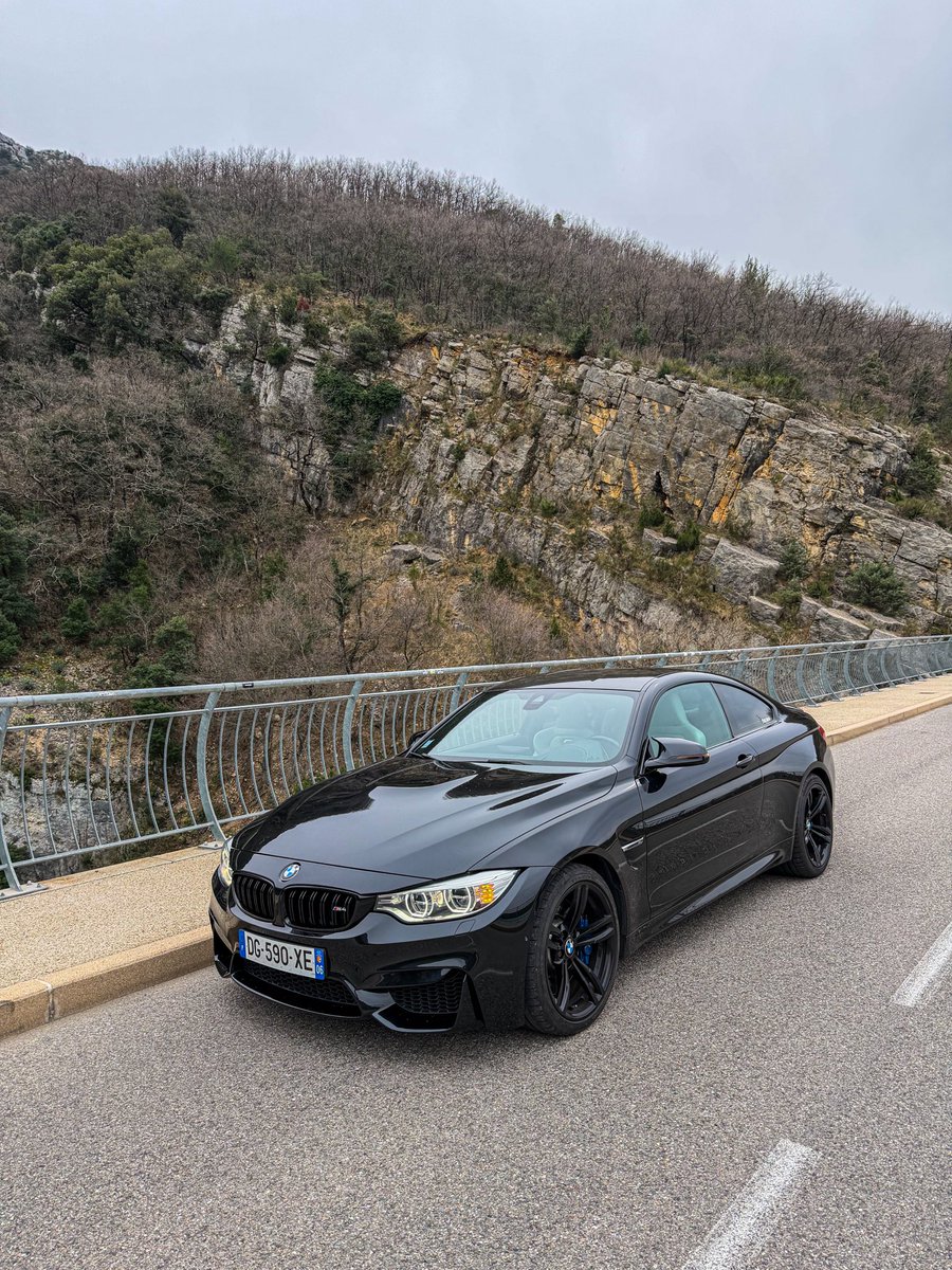 zoé🦥 tweet media