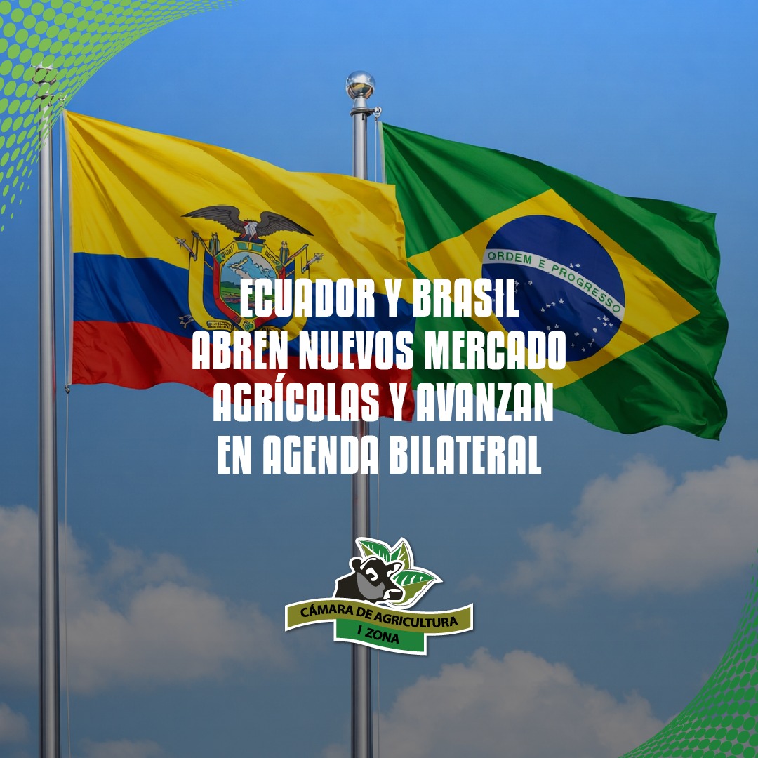 🤝🇪🇨🇧🇷 Ecuador y Brasil abren nuevos mercados agrícolas y avanzan en agenda bilateral para fortalecer el comercio productivo entre ambos países.

✨ Si el agro crece, el Ecuador crece. 🌱

#CAIZ #AgroEcuador #Brasil #MercadosAgrícolas #ComercioExterior