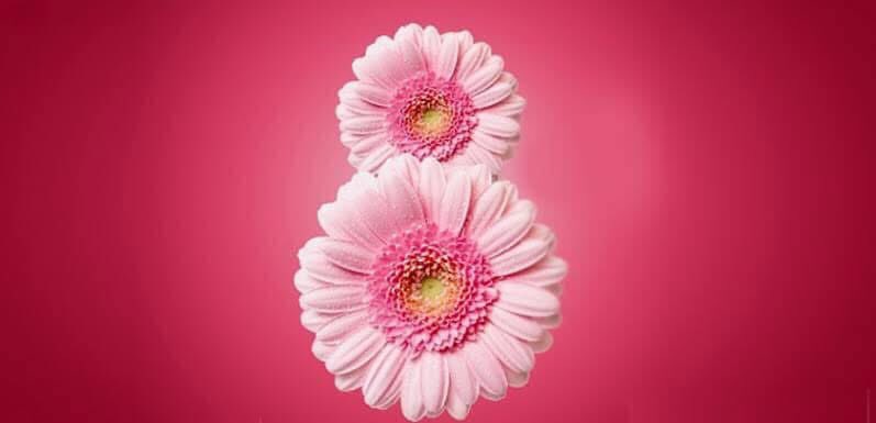 Emeğin, tutkunun, güçlü bir ruhun karşılığı, kıymet vermeye değer iki hece: ka-dın…
Kadın gülüşlü bir dünya özlemiyle…