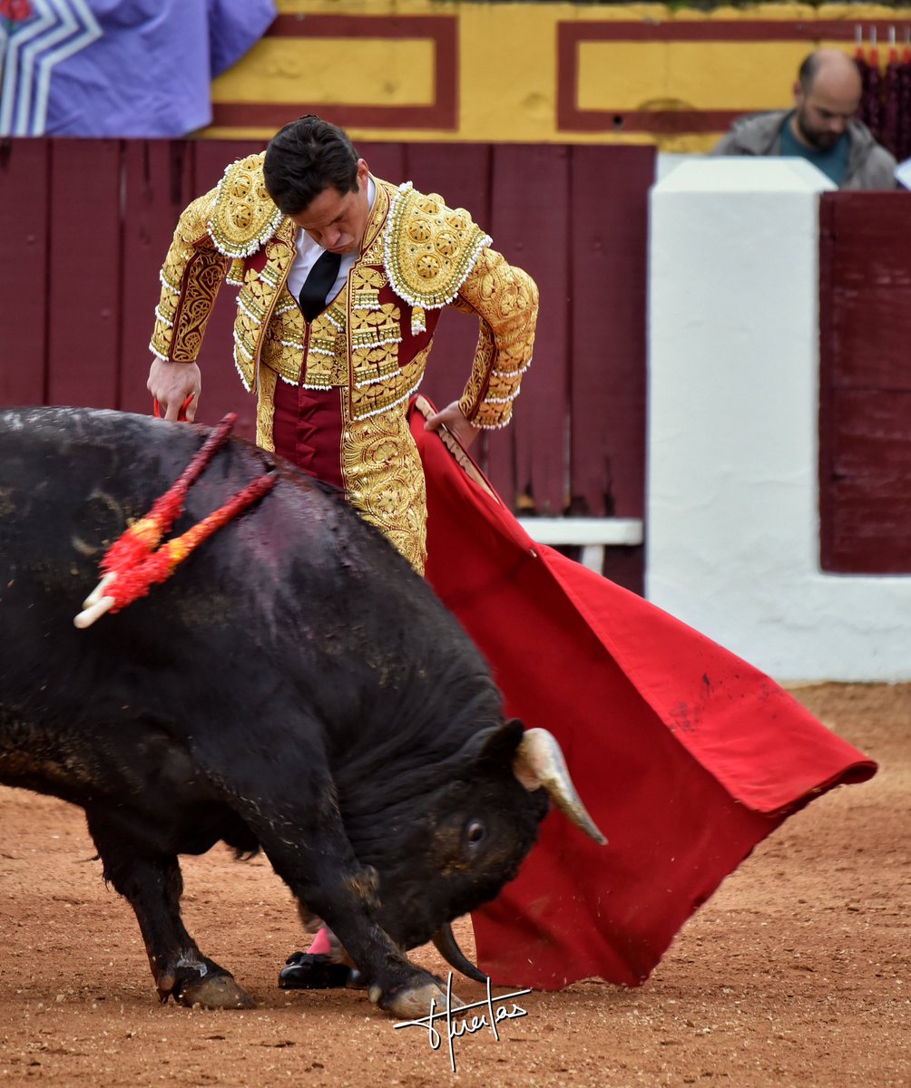 Daniel Luque tweet media