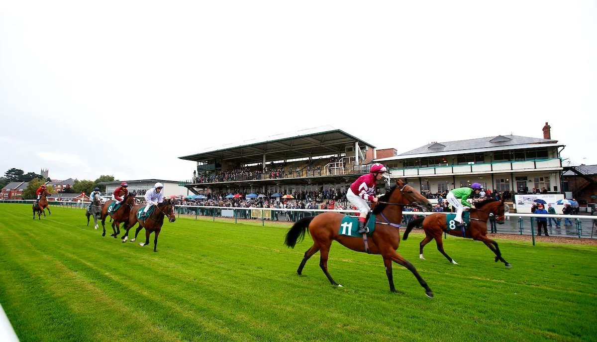 🐦Pigeon🐎Island🐦 tweet media