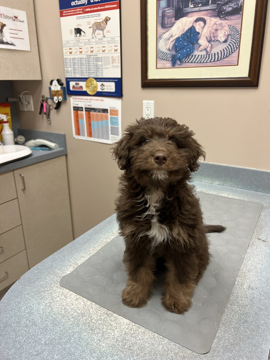 Mike Shoreman tweet media