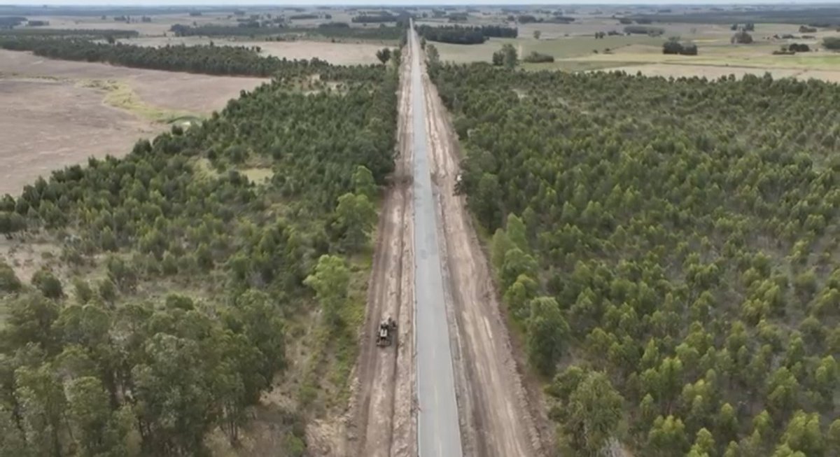 Joselo Hernández tweet media