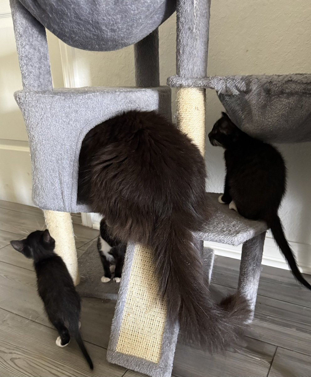 The Redheaded libertarian tweet media