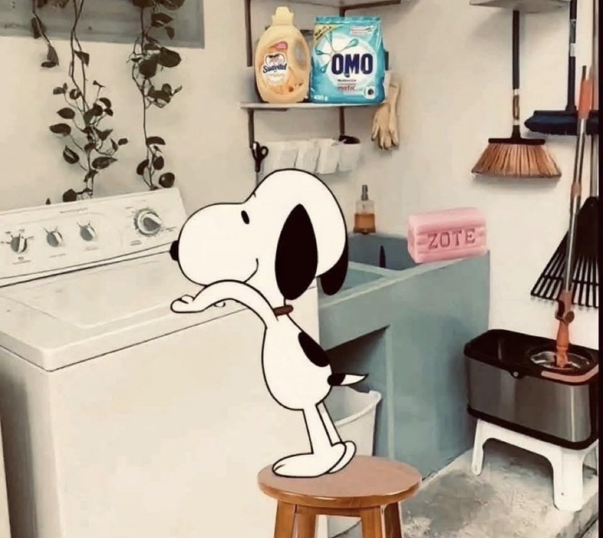 El Guarromántico tweet media