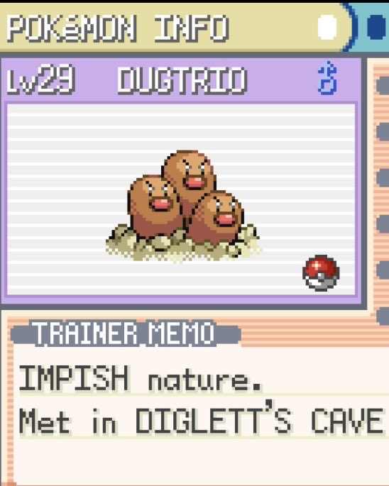 D A Z E E L tweet media