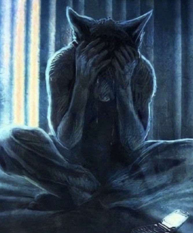 monsieur calin tweet media