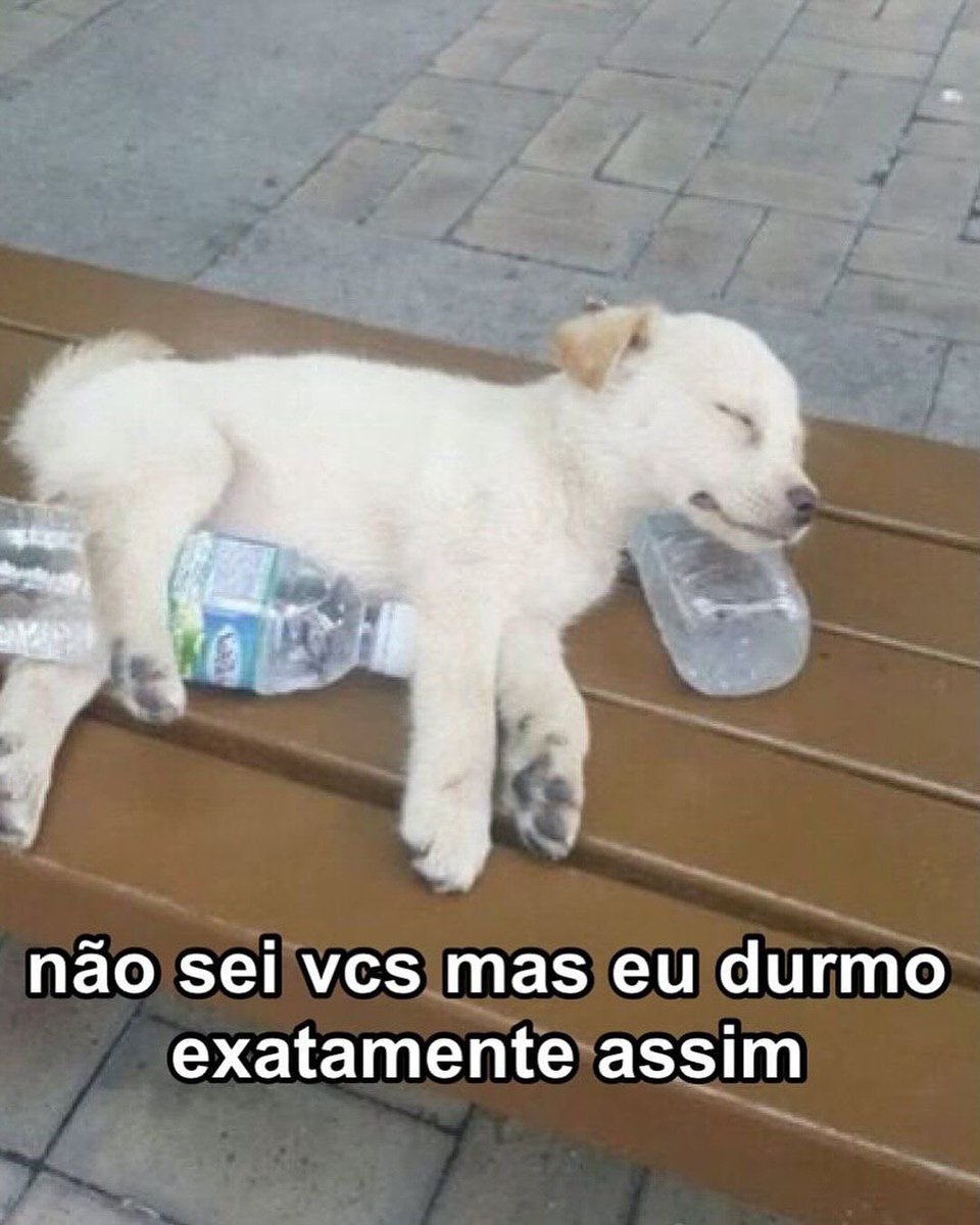 Pagina lixo (@paginalixo1) on Twitter photo 