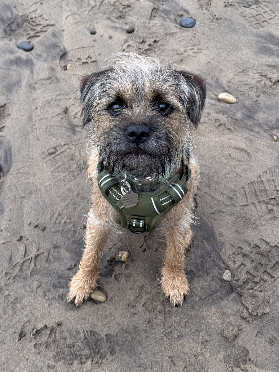 Aston&Molly(CJ&LennyBTs🌈) tweet media