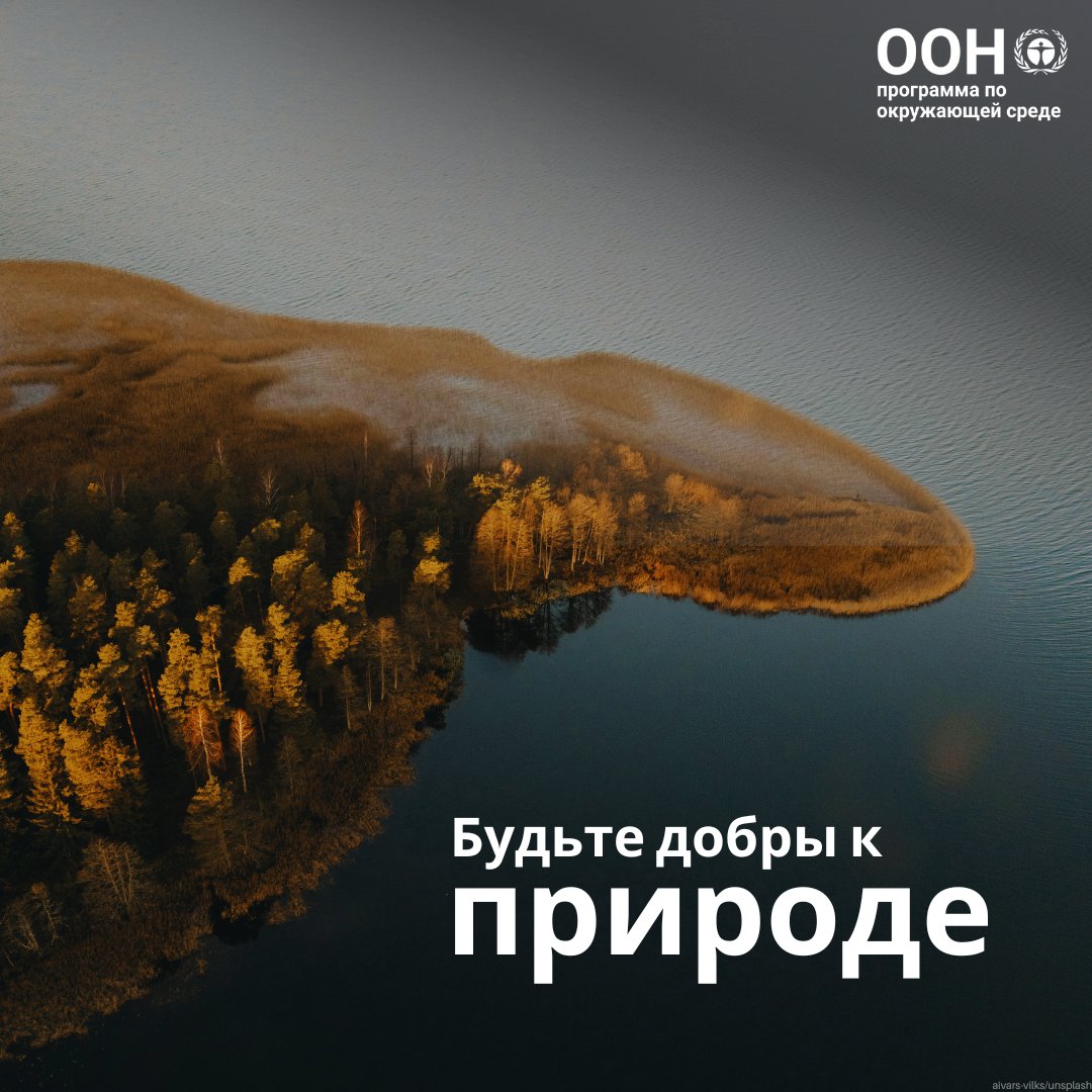 ЮНЕП - Программа ООН по окружающей среде tweet media
