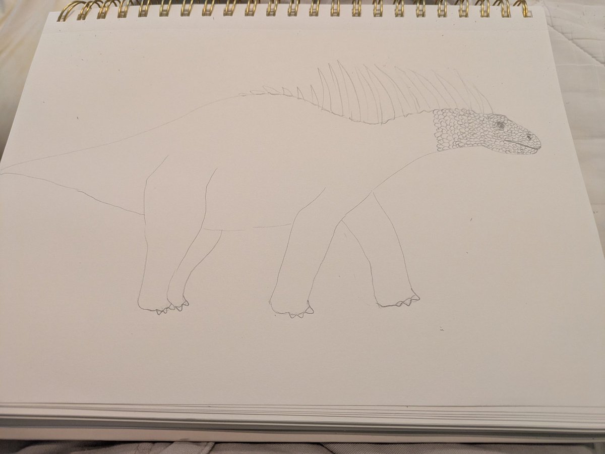 Patricia Correll tweet media