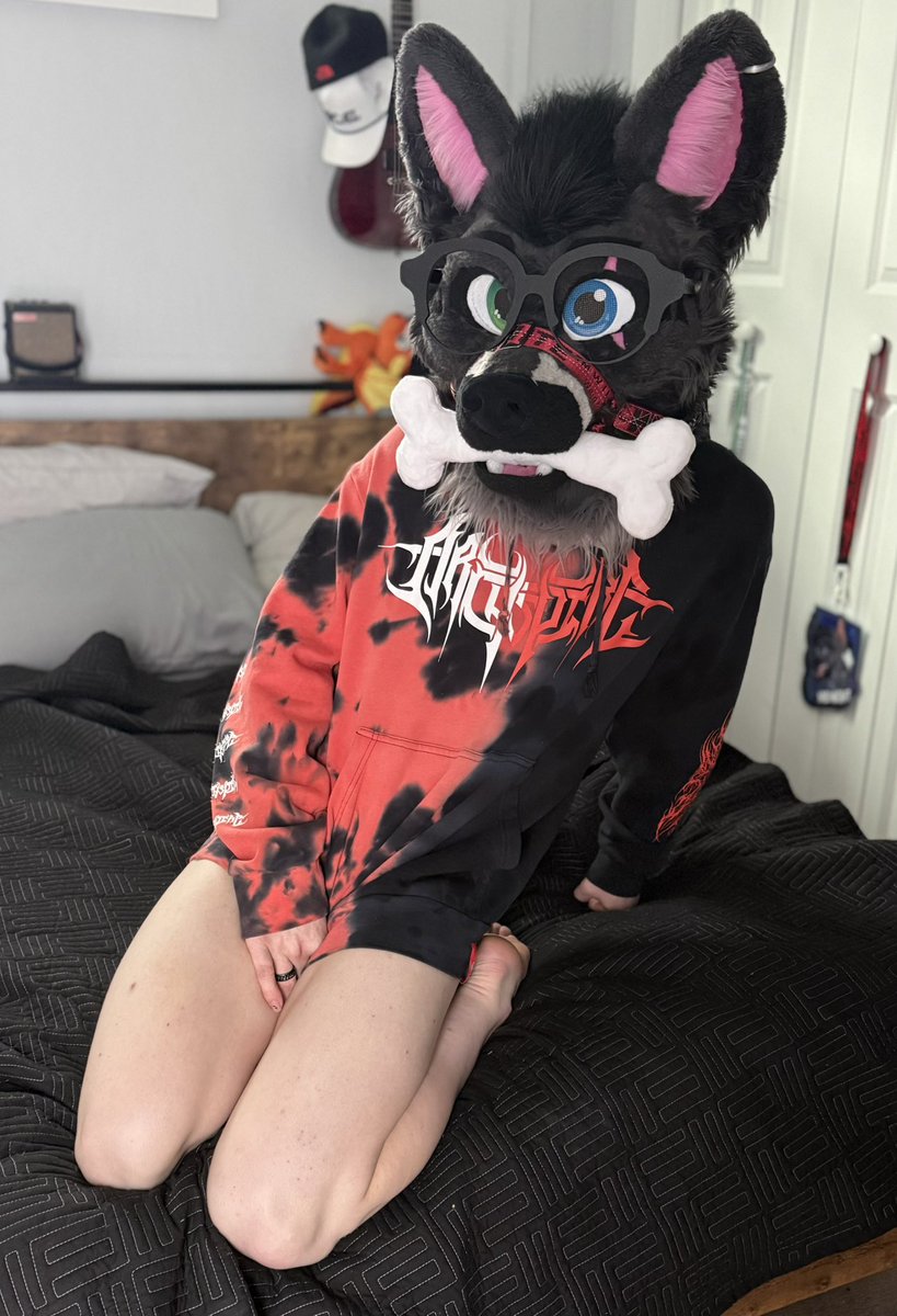 Midnight 🔜 FWA tweet media