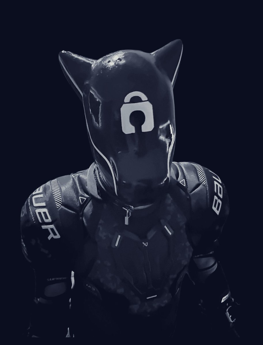 GoaliePups tweet media