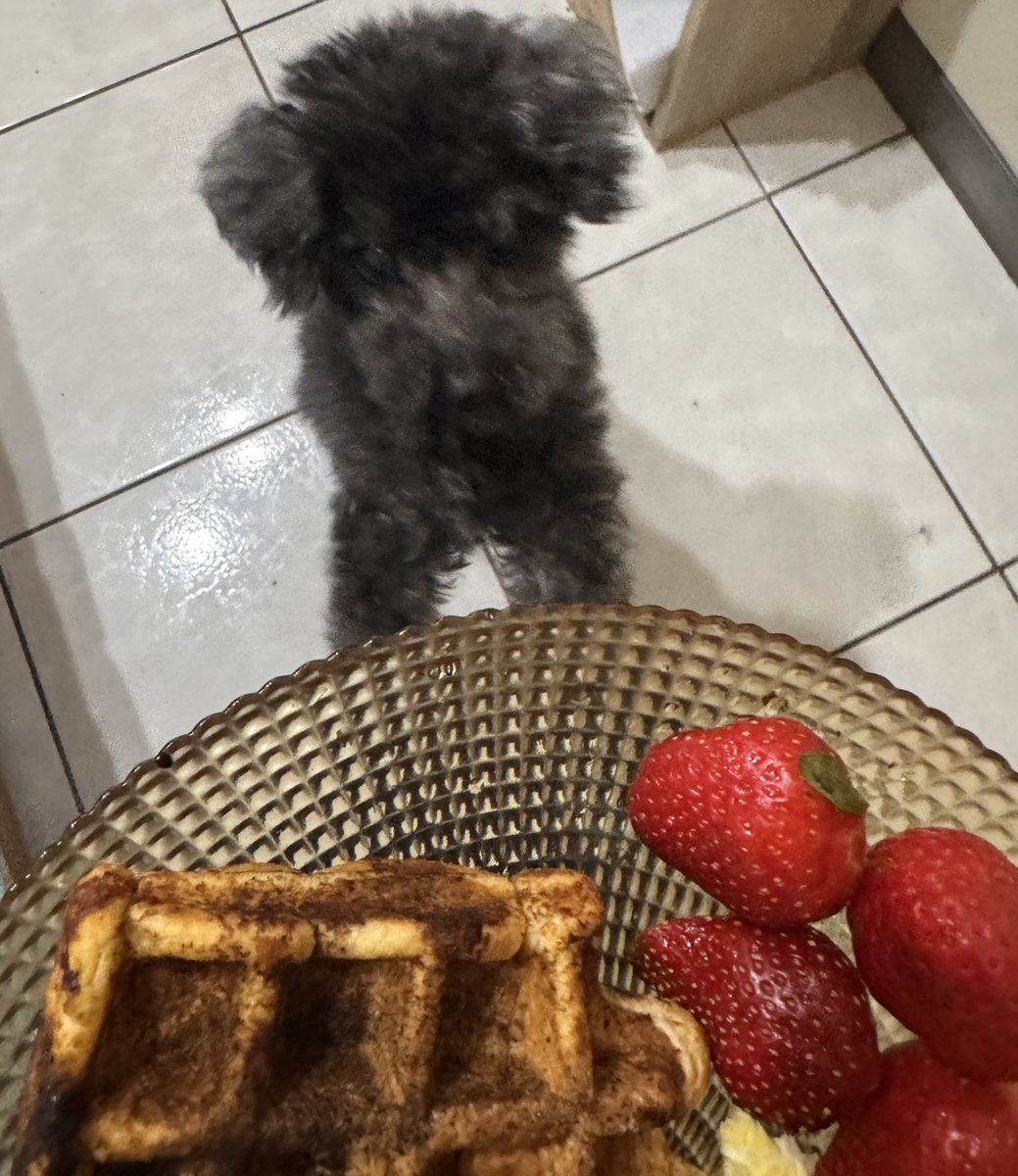 Whenever I’m cooking, teddy always around even when I try to do it quietly.