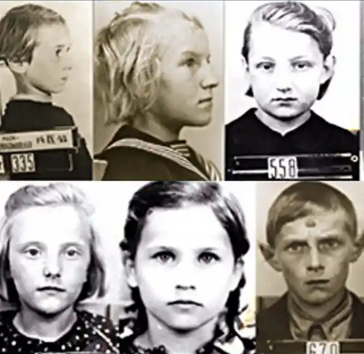 Edward Reid tweet media