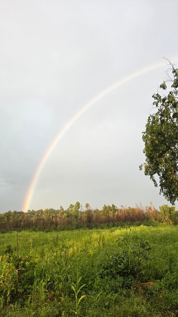 VHetal's tweet photo. @motorolaindia Fusion of different colours of nature. ๐๏ธ๐ Nature always wears different colours to amuse us.
One of my best random click
#Motography
#MotorolaFusionFrames #Motorola #Motorolaedge70Fusion @motorolaindia
Join
@himanshu_call
@rehanak55
@ravimoon64
@toposant55
@dadofbonhisha https://t.co/SgSFnxW97R