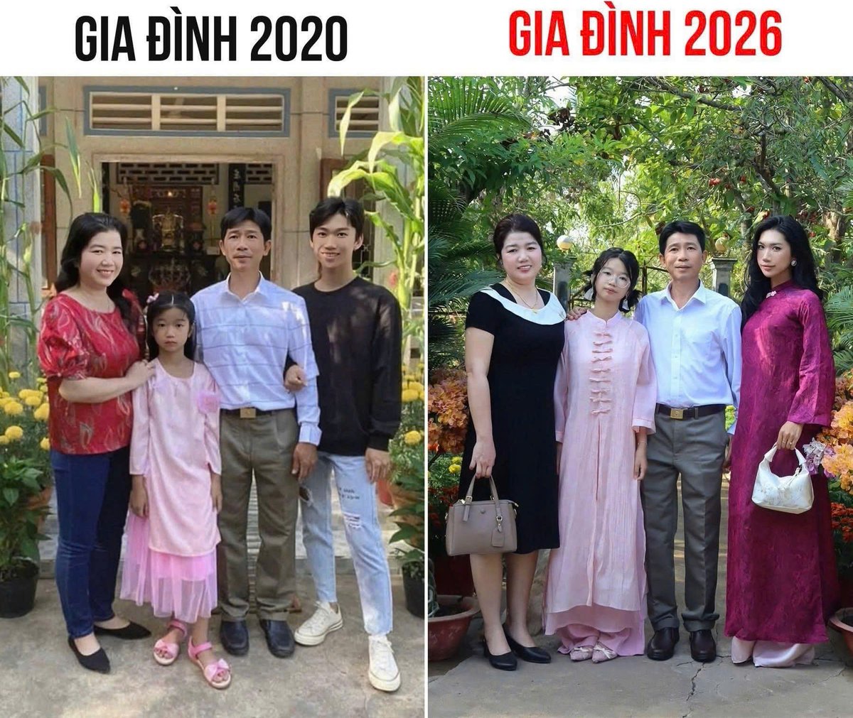 Bố Khỉ base.eth tweet media