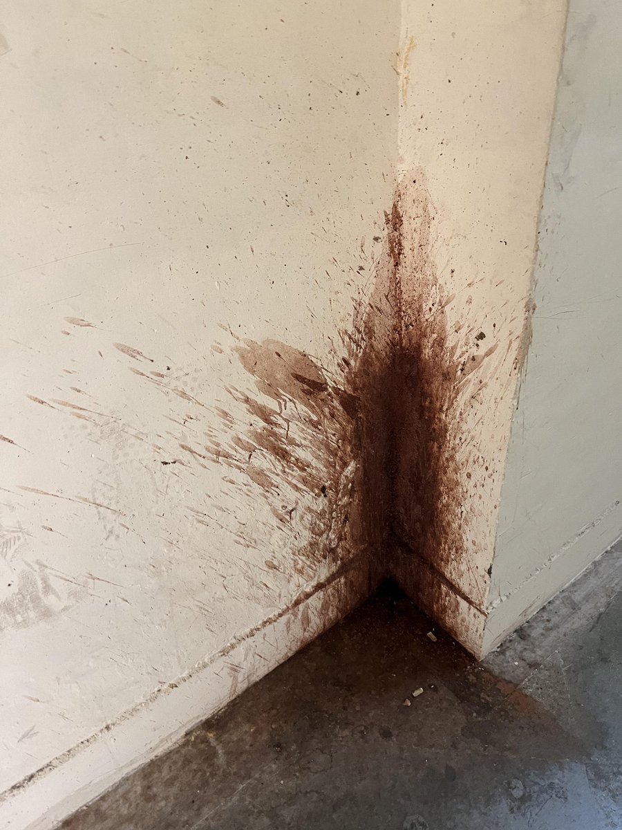 Rofl Democrazy tweet media