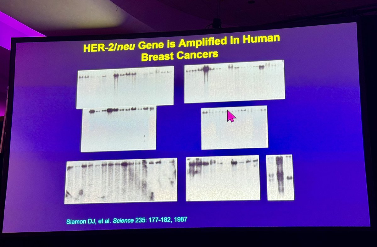 Paolo Tarantino tweet media