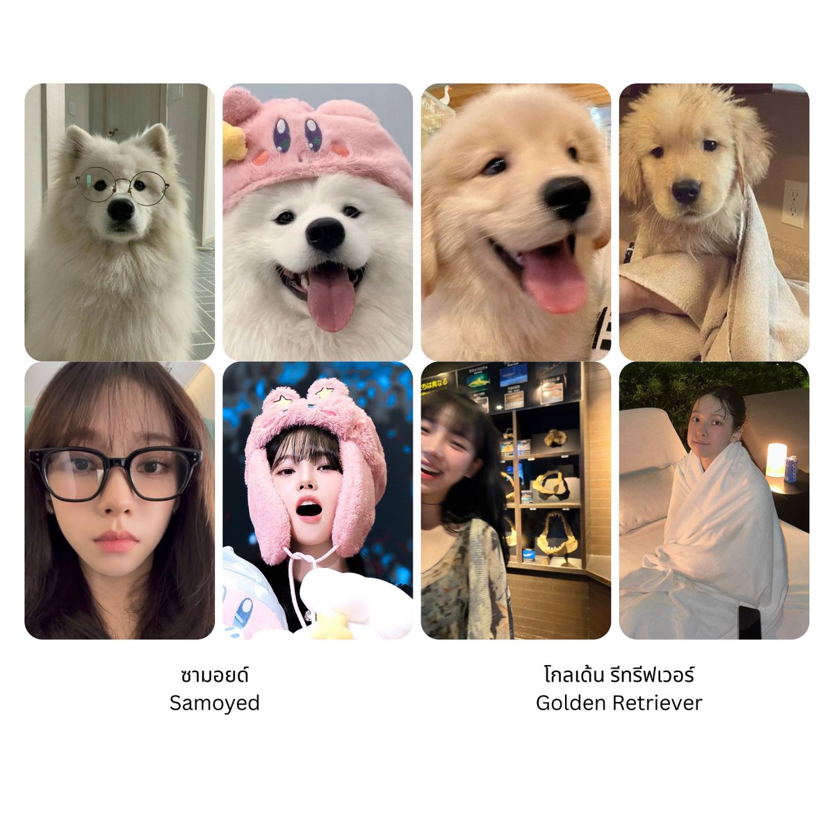 Mission สัปดาห์ที่สอง “สุนัขที่คุณคิดว่าเหมือนคาริน่าที่สุด?” 

— โหวตได้ถึง 14 มีนาคม 
— โหวตได้ผ่านการโดเนทในฟอร์ม forms.gle/dTYJ2yPCTgRigK…
— ทุก ๆ 11 บาท จะถูกนับเป็น 1 คะแนน