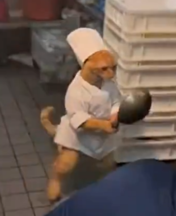 Cengaver tweet media