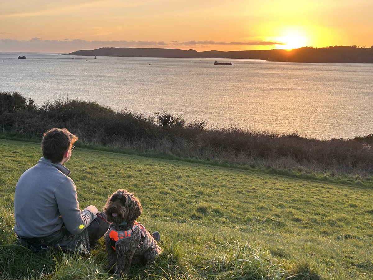 Marie J Indge tweet media