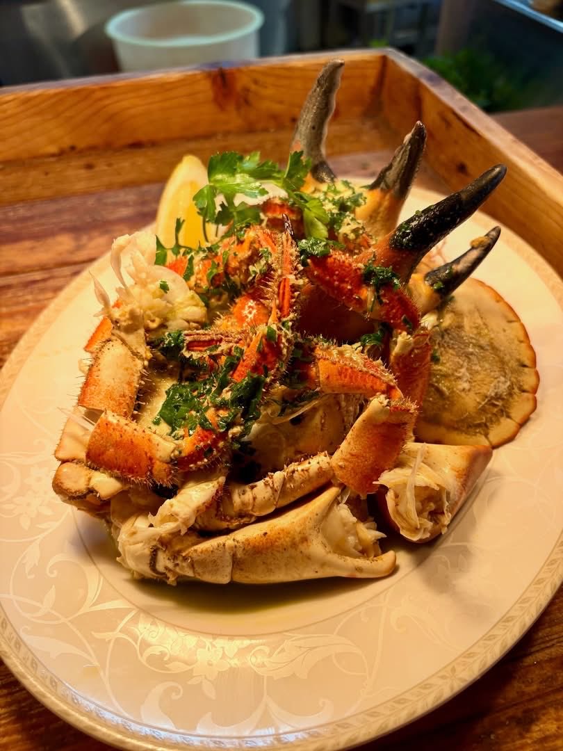 The Scallop Shell tweet media