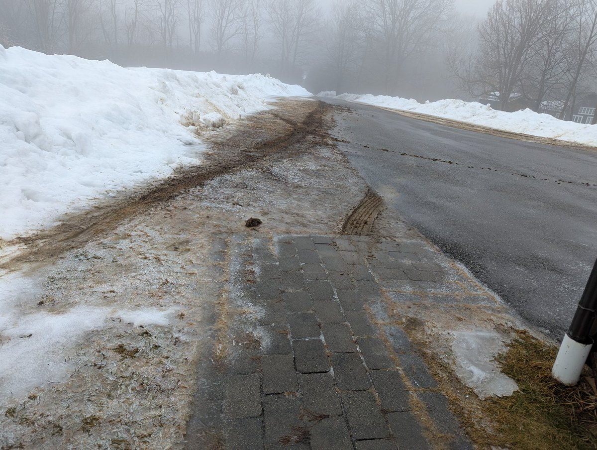 k9jari's tweet photo. @FedEx @FedExHelp Your driver has torn up my lawn 2 days straight, today almost striking the house. See videos attached and photos https://t.co/sq9ogLtFPx