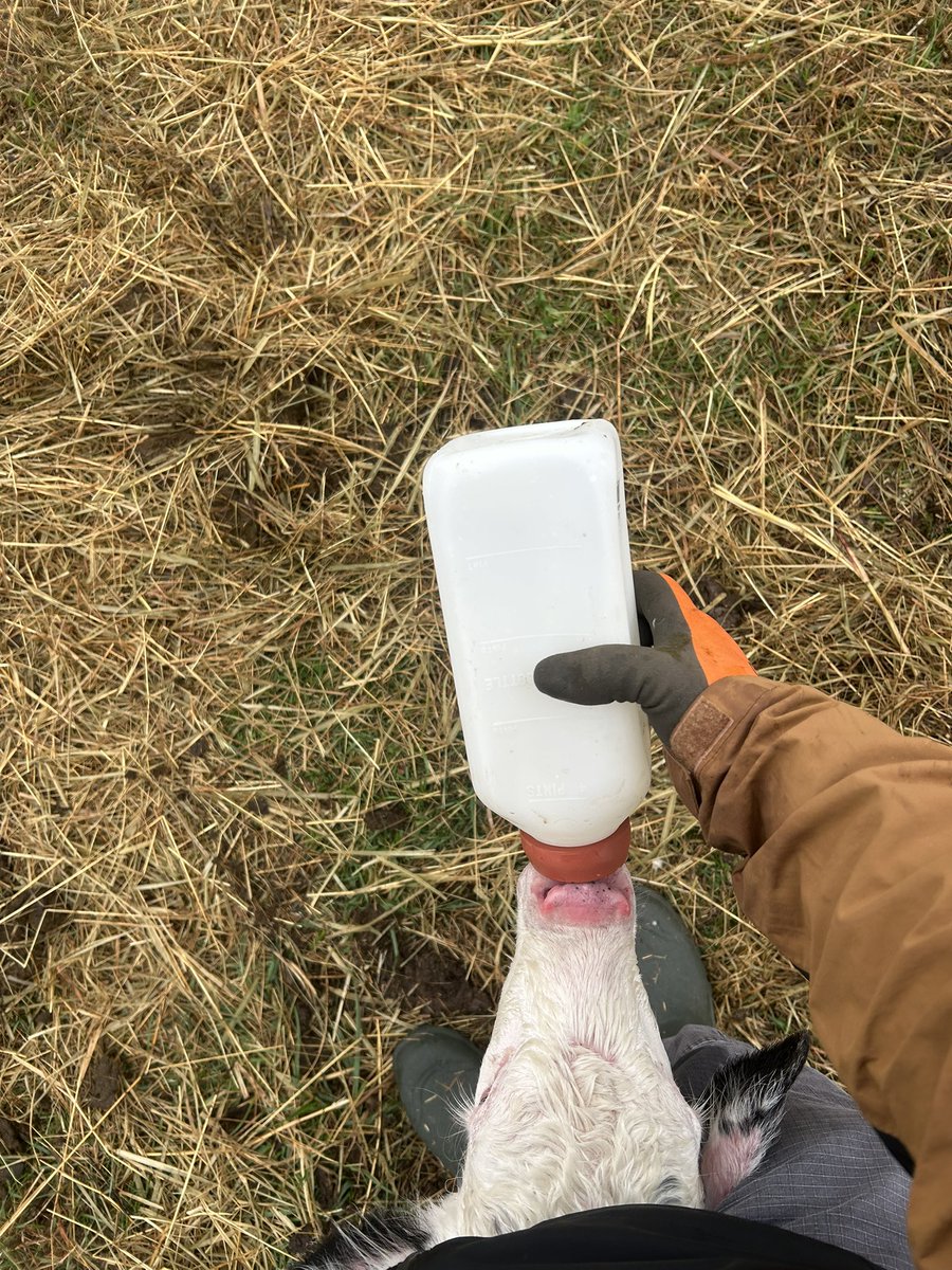 Matt Carter tweet media