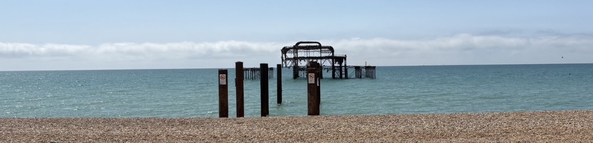 Daily Picture Theme tweet media