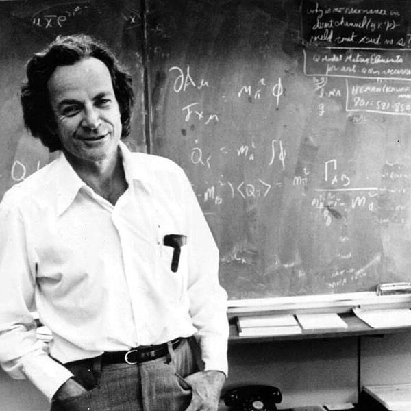 "Nunca confundas educación con inteligencia, puedes tener un doctorado y seguir siendo un idiota"

Richard Feynman