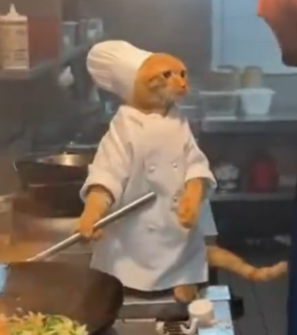 Cengaver tweet media