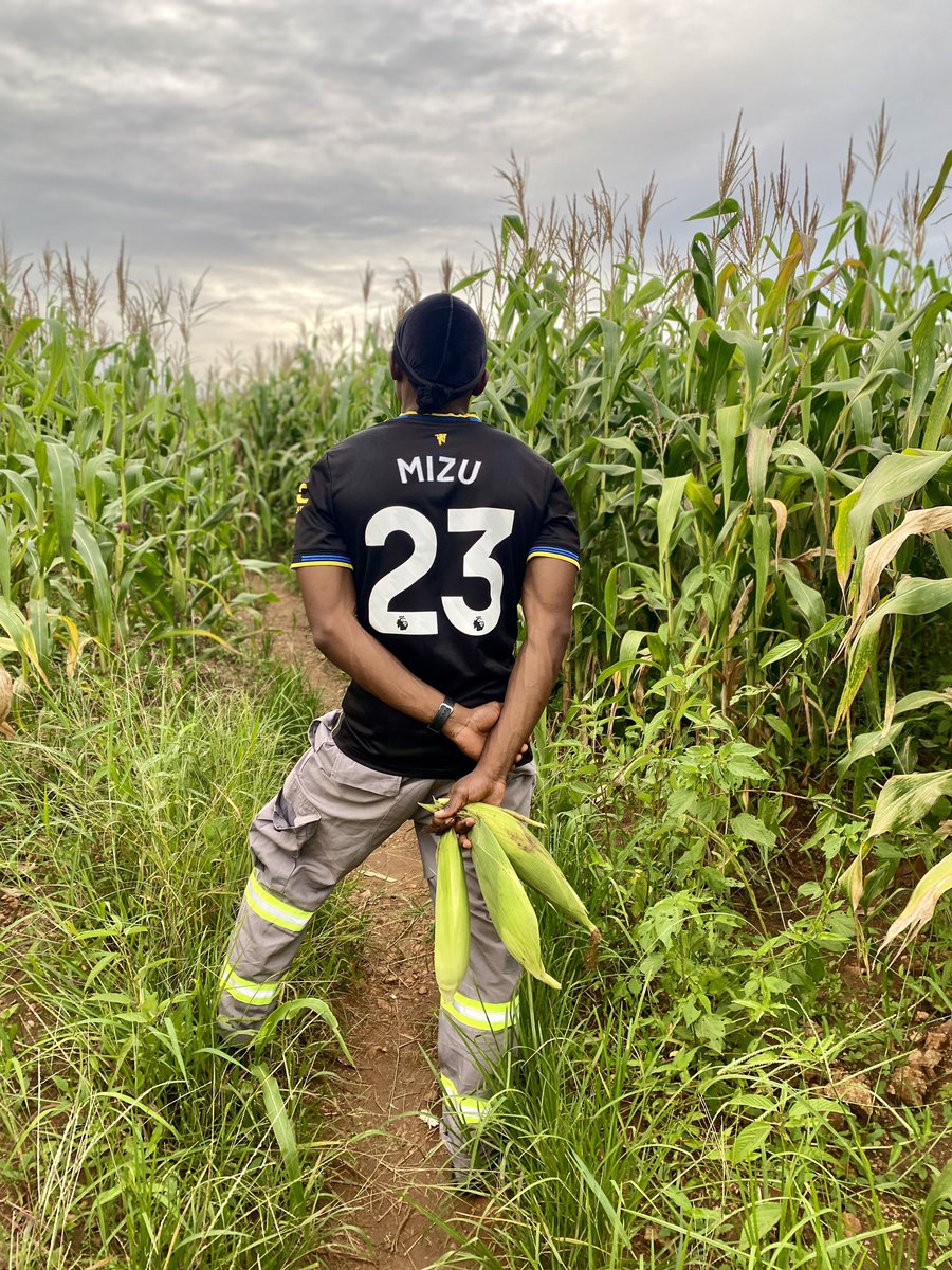 Precious Mbuna tweet media