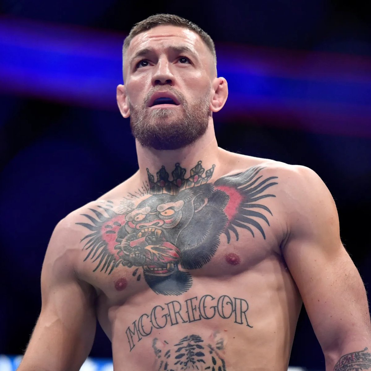 MMA Orbit tweet media