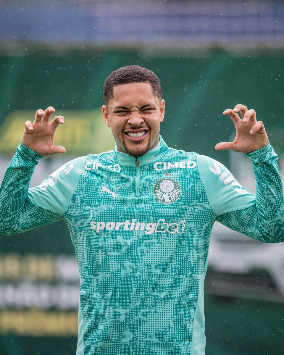 SE Palmeiras tweet media