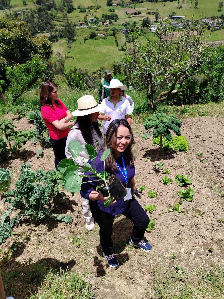 visitazuay's tweet photo. ¿Sabías que el cantón #ElPan puedes acceder a una fantástica experiencia agroecológica y gastronómica?😮

Recorre la ruta gastronómica "Azuay... Mucho Gusto" y conoce la Finca Agroturística Don Antonio. 

Conoce más en https://t.co/XgPdHS6tEc (sección Rutas)

#JotaLloretPrefecto https://t.co/fXtewfaLqH