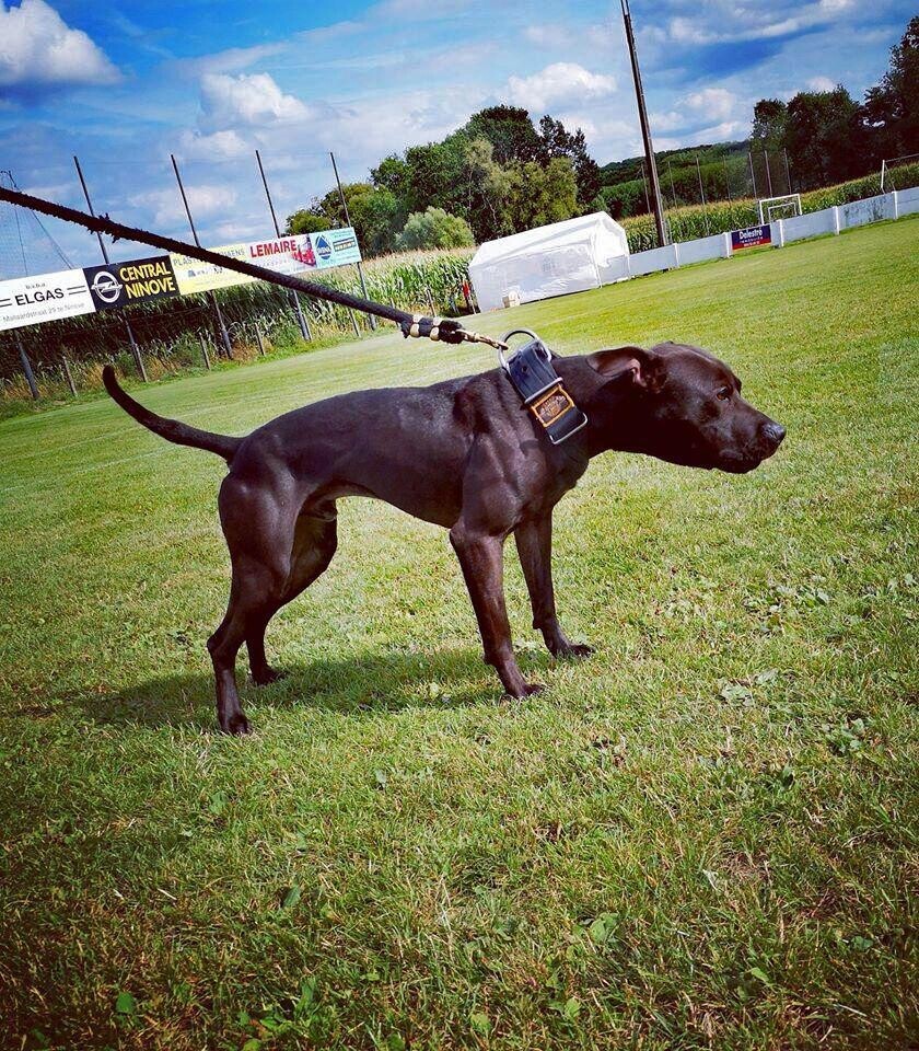 Le Parisien tweet media