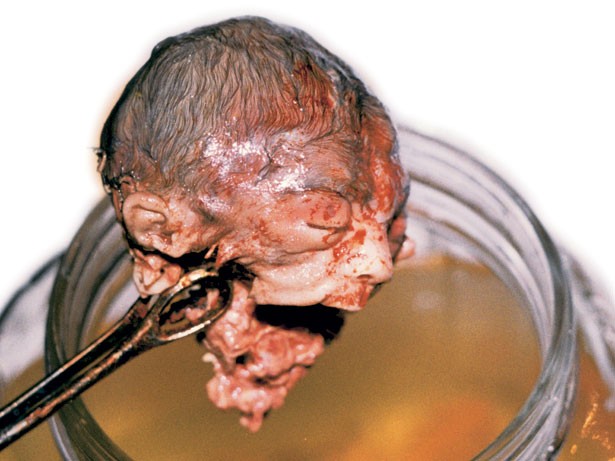 Abolish Abortion Michigan Action tweet media