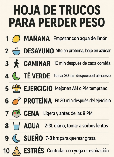 Hormiguita Productiva (@hproductiva) on Twitter photo 