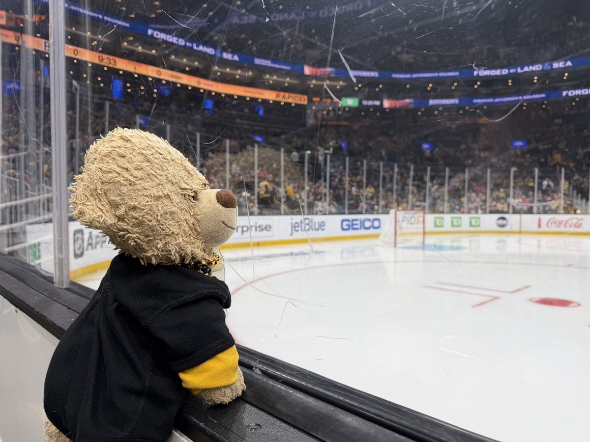 biggest baddest bruin in the building