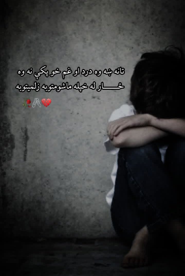 M.KHAN.MOMAND 🇦🇫 tweet media