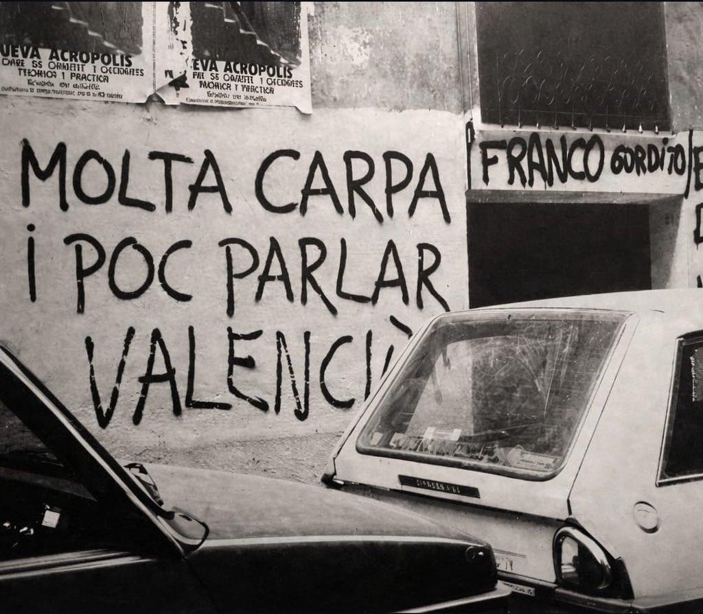 Memes la Safor tweet media